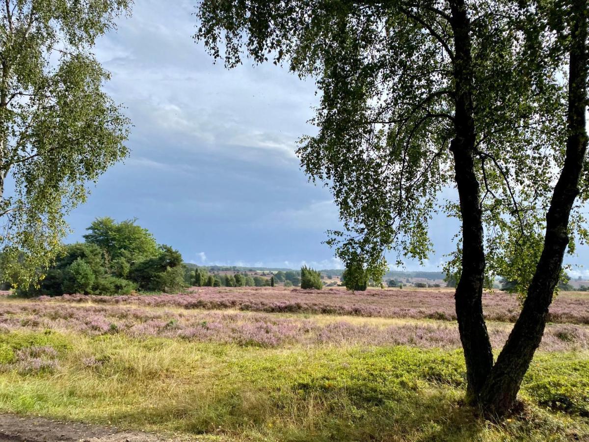 Huus Utspann Fewo Mit Terrasse - 23 Km Vor Hamburg - Зеветаль Екстер'єр фото